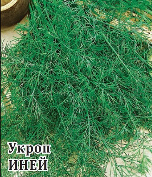 Укроп Иней 25,0 г
