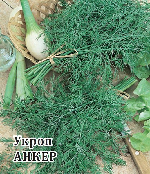 Укроп Анкер 25,0 г