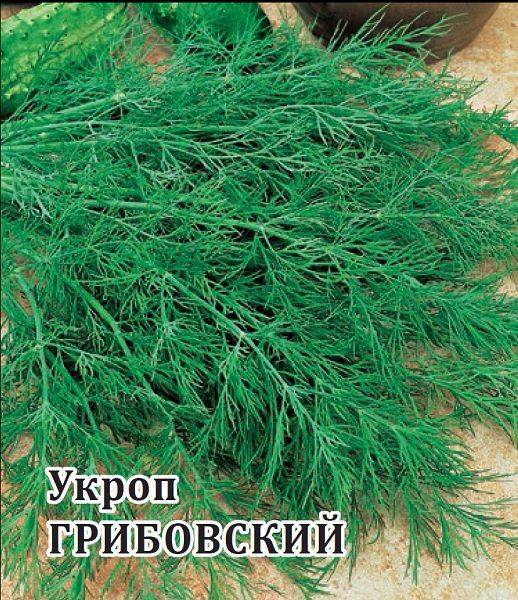 Укроп Грибовский 25,0 г