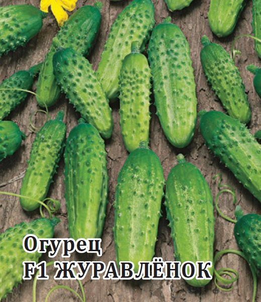 Огурец Журавленок F1 25,0 г