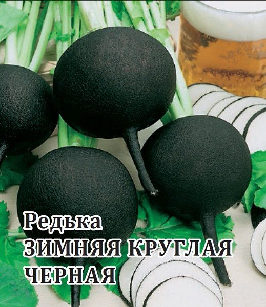 Редька Зимняя круглая чёрная 25,0 г