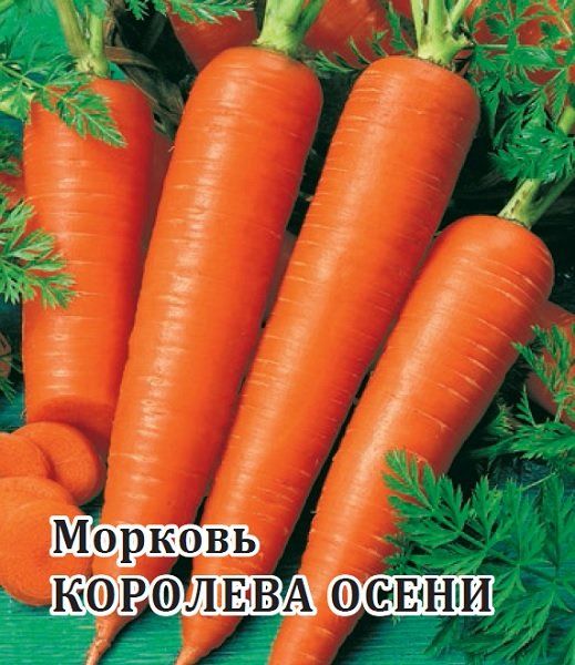 Морковь Королева Осени 100,0 г