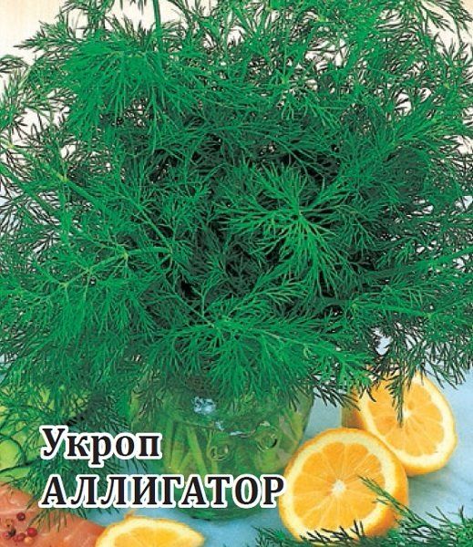 Укроп Аллигатор 100,0 г