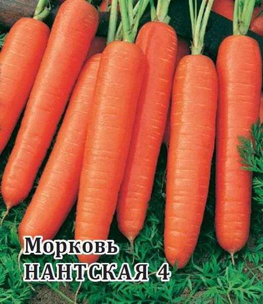 Морковь Нантская 4 100 г