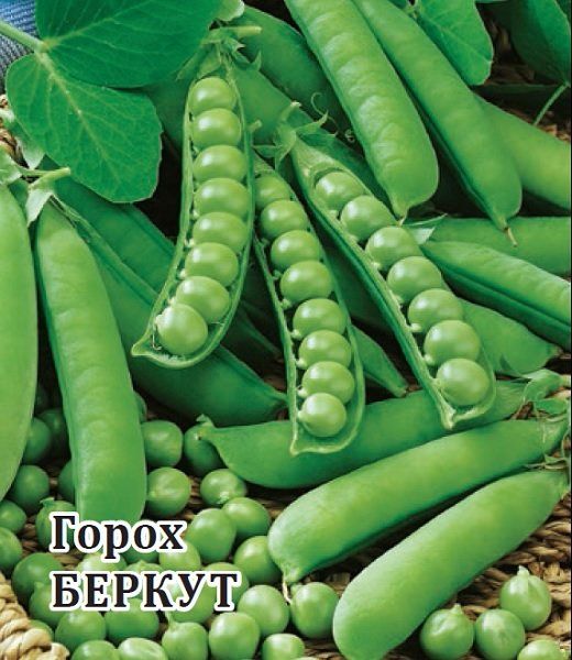 Горох Беркут 100,0 г