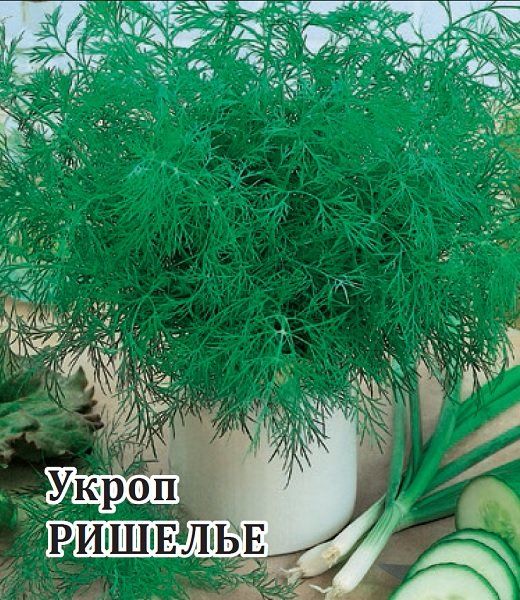 Укроп Ришелье 100,0 г