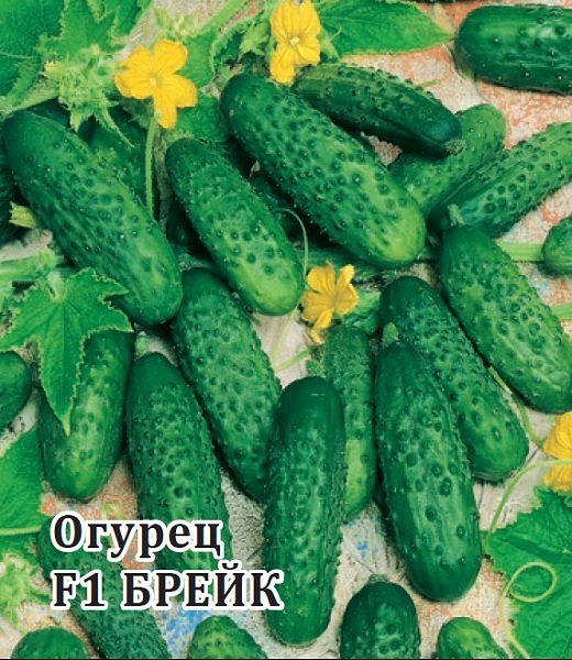Огурец Брейк F1 100 шт. корнишон