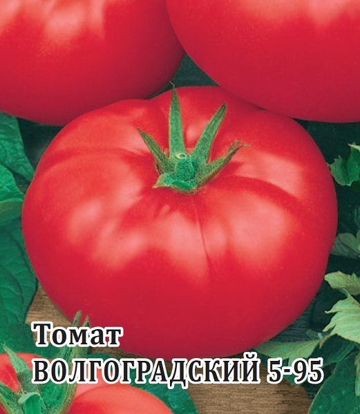 Томат Волгоградский 5/95 25,0 г
