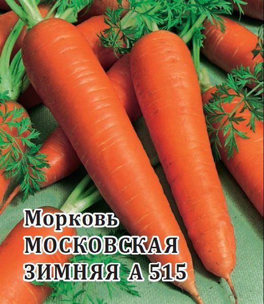 Морковь Московская зимняя А 515 25,0 г