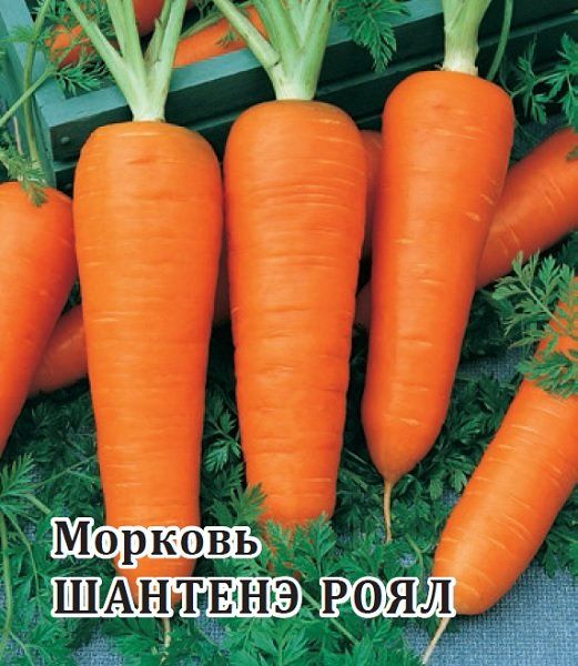 Морковь Шантенэ Роял 25,0 г