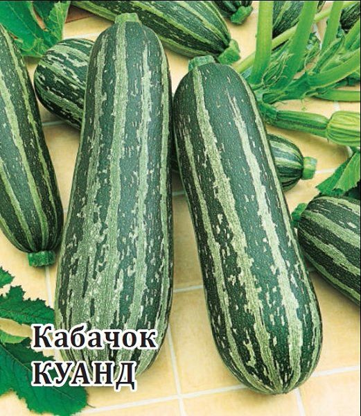 Кабачок Куанд 100,0 г