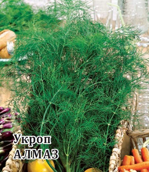 Укроп Алмаз 25,0 г
