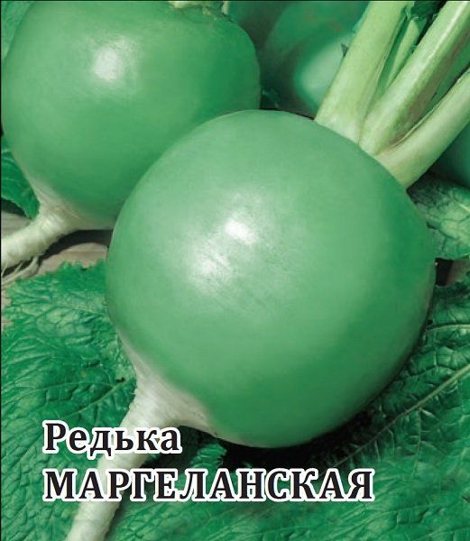 Редька Маргеланская 100,0 г