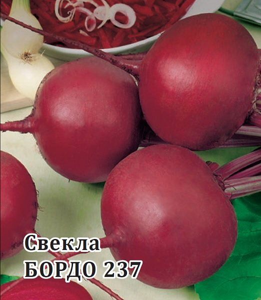 Свекла Бордо 237 25,0 г