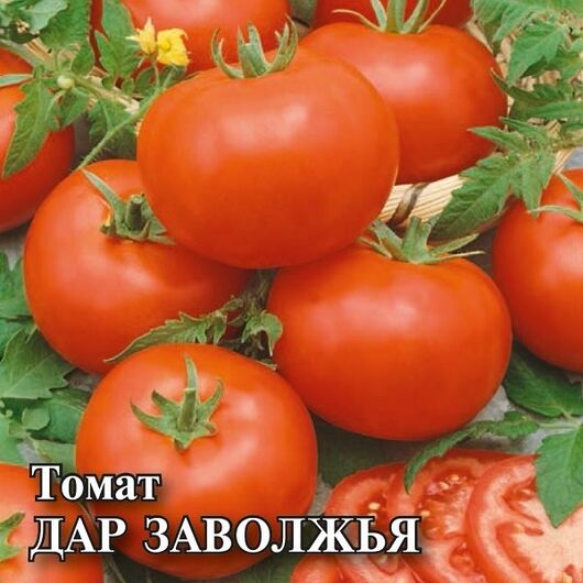 Томат Дар Заволжья 5,0 г