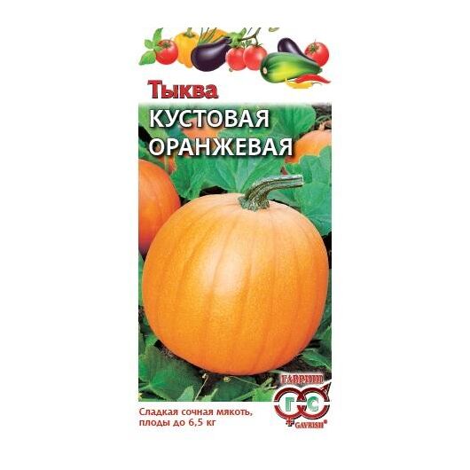 Тыква Кустовая оранжевая 1,0 г