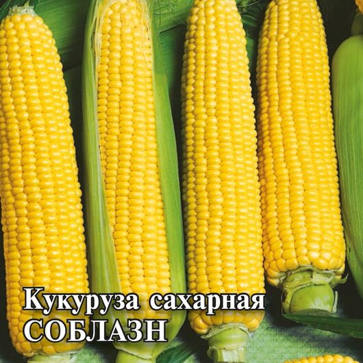 Кукуруза Сахарная Соблазн 100,0 г