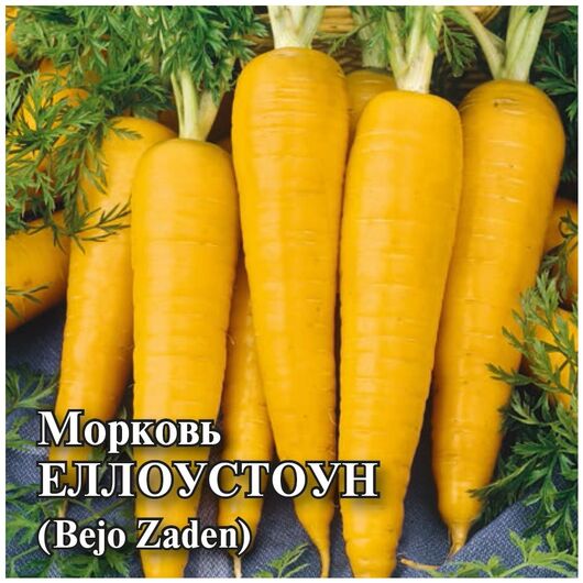 Морковь Еллоустоун 10,0 г (Голландия)