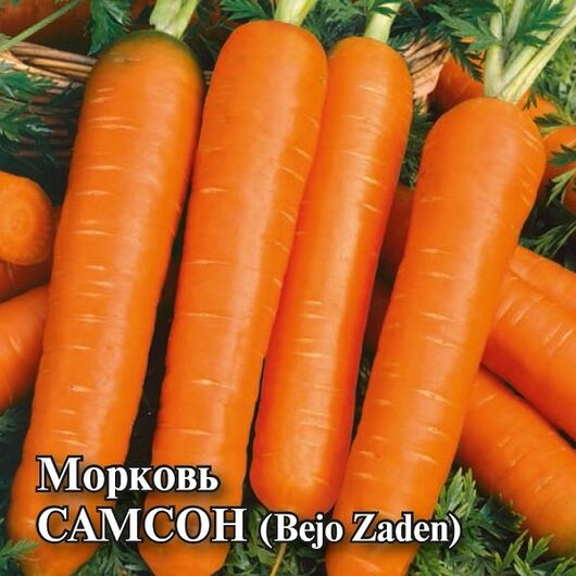 Морковь Самсон 25,0 г (Голландия)