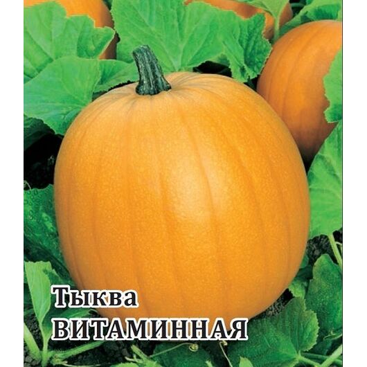 Тыква Витаминная, мускатная 100,0 г