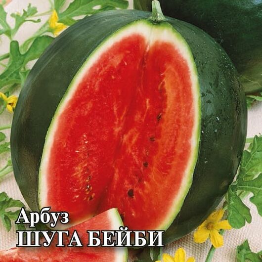 Арбуз Шуга Бейби 25 г