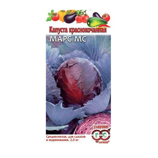 Капуста краснокоч. Марс МС 0,1 г