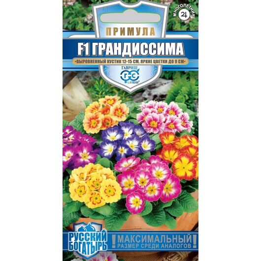 Примула Грандиссима, обыкновенная, смесь F1 5 шт. серия Русский богатырь