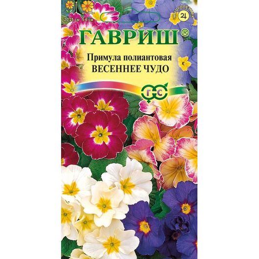 Примула Весеннее чудо (полиантовая многоцв)* 4 шт.