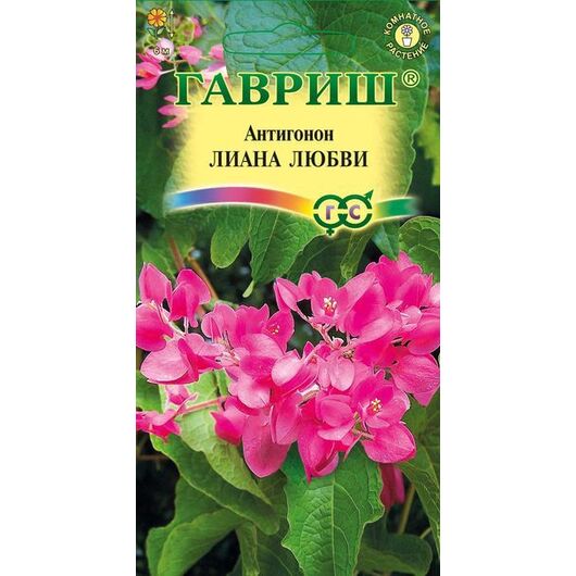 Антигонон Лиана любви 5 шт.