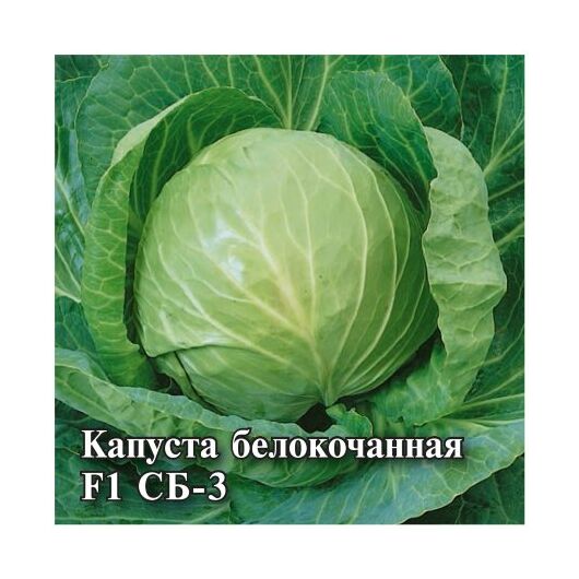 Капуста белокоч. СБ-3  F1 25,0 г для квашения