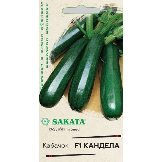 Кабачок Кандела F1 5 шт. (Саката)