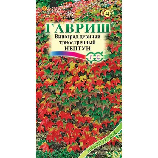 Виноград триостренный Нептун 5 шт.