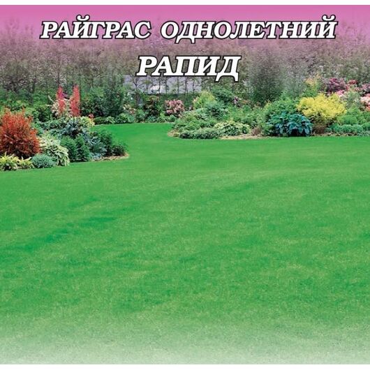 Райграс однолетний Рапид  1 кг