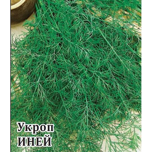 Укроп Иней 100,0 г