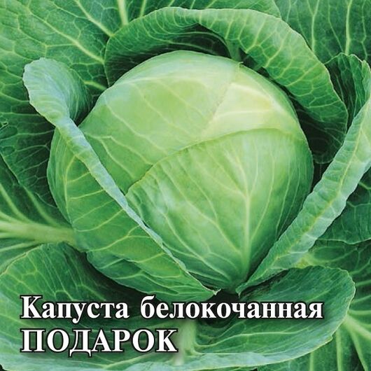 Капуста белокоч. Подарок 10,0 г (для квашения)