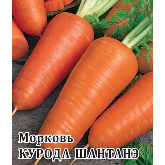 Морковь Курода Шантанэ 25,0 г