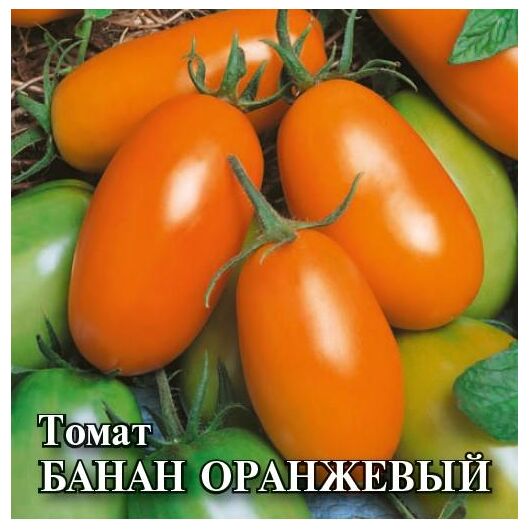Томат Банан оранжевый  25,0 г