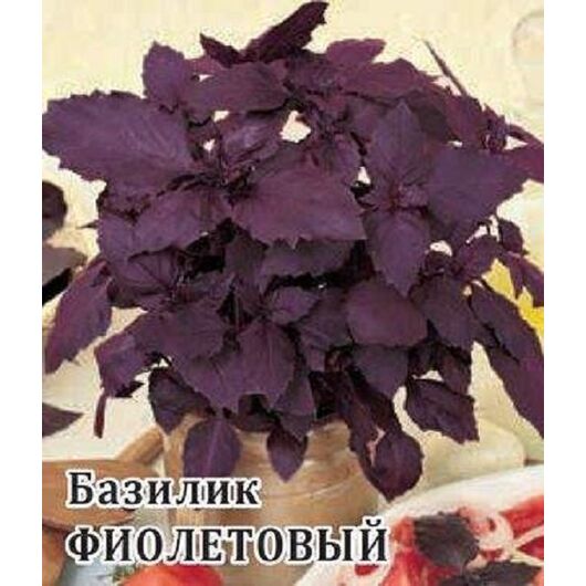Базилик Фиолетовый 10,0 г