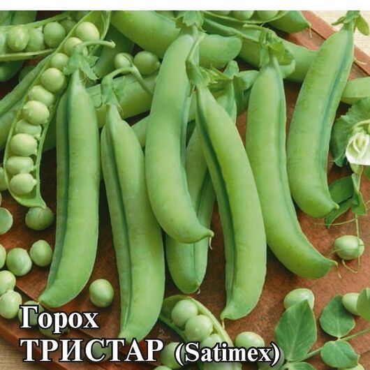 Горох Тристар 50,0 г (Голландия)