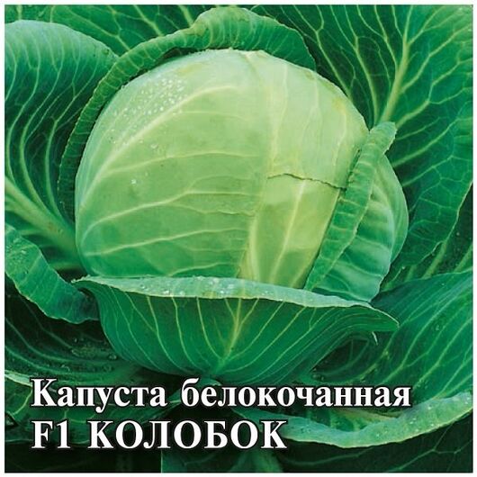 Капуста белокоч. Колобок F1 10,0 г для хранения