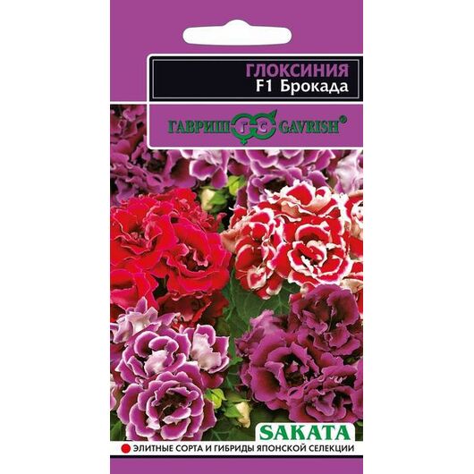 Глоксиния Брокада F1 гранул. 4 шт. пробирка серия Саката