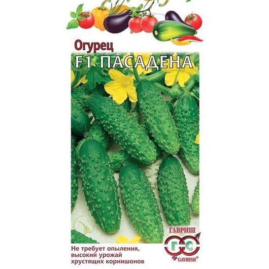 Огурец Пасадена F1 0,3 г корнишон (Голландия)
