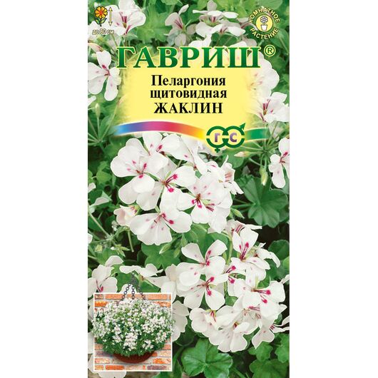 Пеларгония ампельная Жаклин 3 шт.