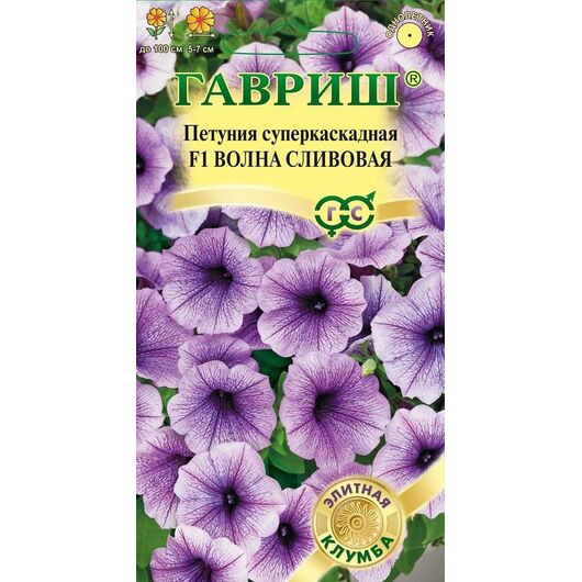 Петуния Волна Сливовая F1(Минитуния) суперкаскадная 4 шт. гранул. проб.