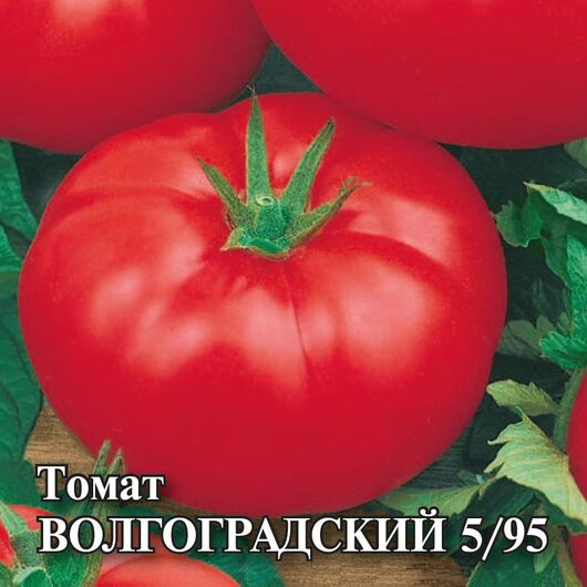 Томат Волгоградский 5/95 5,0 г