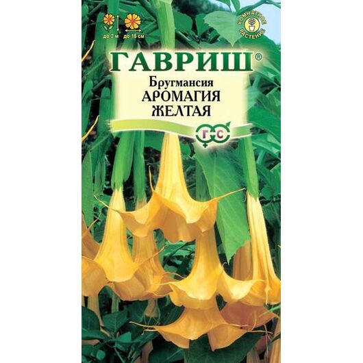 Бругмансия Аромагия желтая 3 шт.