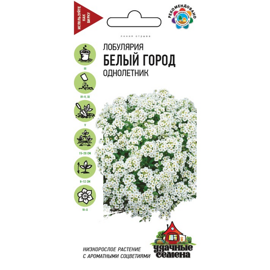 Лобулярия Белый город морская 0,05 г Удачные семена