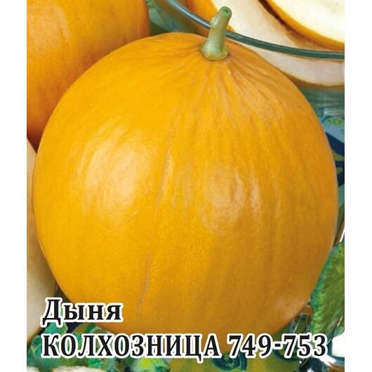 Дыня Колхозница 749/753 25,0 г