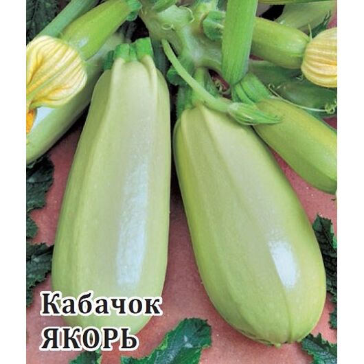 Кабачок Якорь 25,0 г