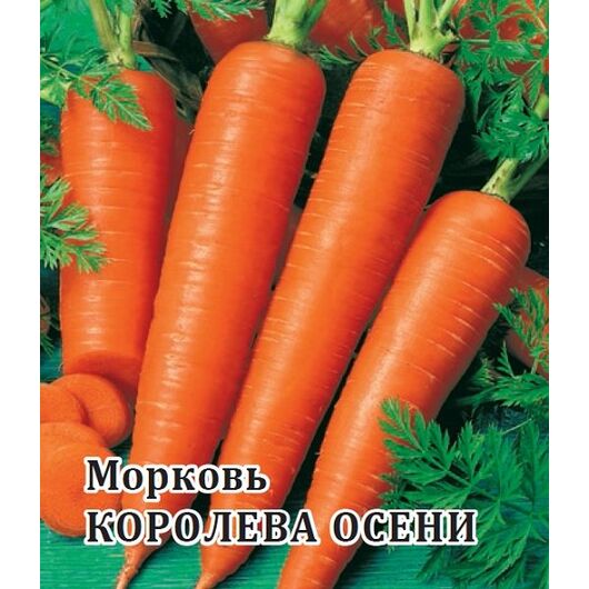 Морковь Королева Осени 25,0 г
